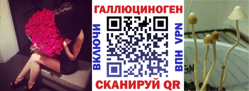наркошоп  Баксан  Псилоцибиновые грибы GOLDEN TEACHER 